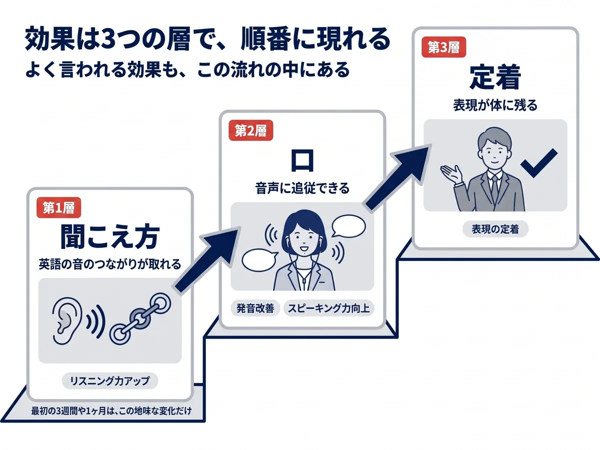 シャドーイングの効果は3層で順番に現れる。第1層は聞こえ方(英語の音のつながりが取れる・リスニング力アップ)、第2層は口(音声に追従できる・発音改善とスピーキング力向上)、第3層は定着(表現が体に残る)