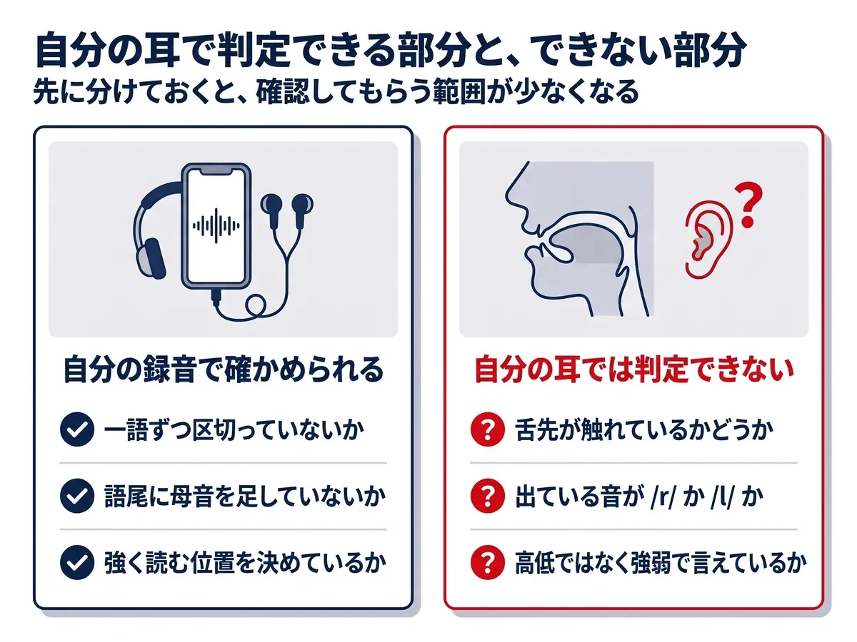 自分の録音で確かめられる3点:一語ずつ区切っていないか、語尾に母音を足していないか、強く読む位置を決めているか。自分の耳では判定できない3点:舌先が触れているかどうか、出ている音が/r/か/l/か、高低ではなく強弱で言えているか