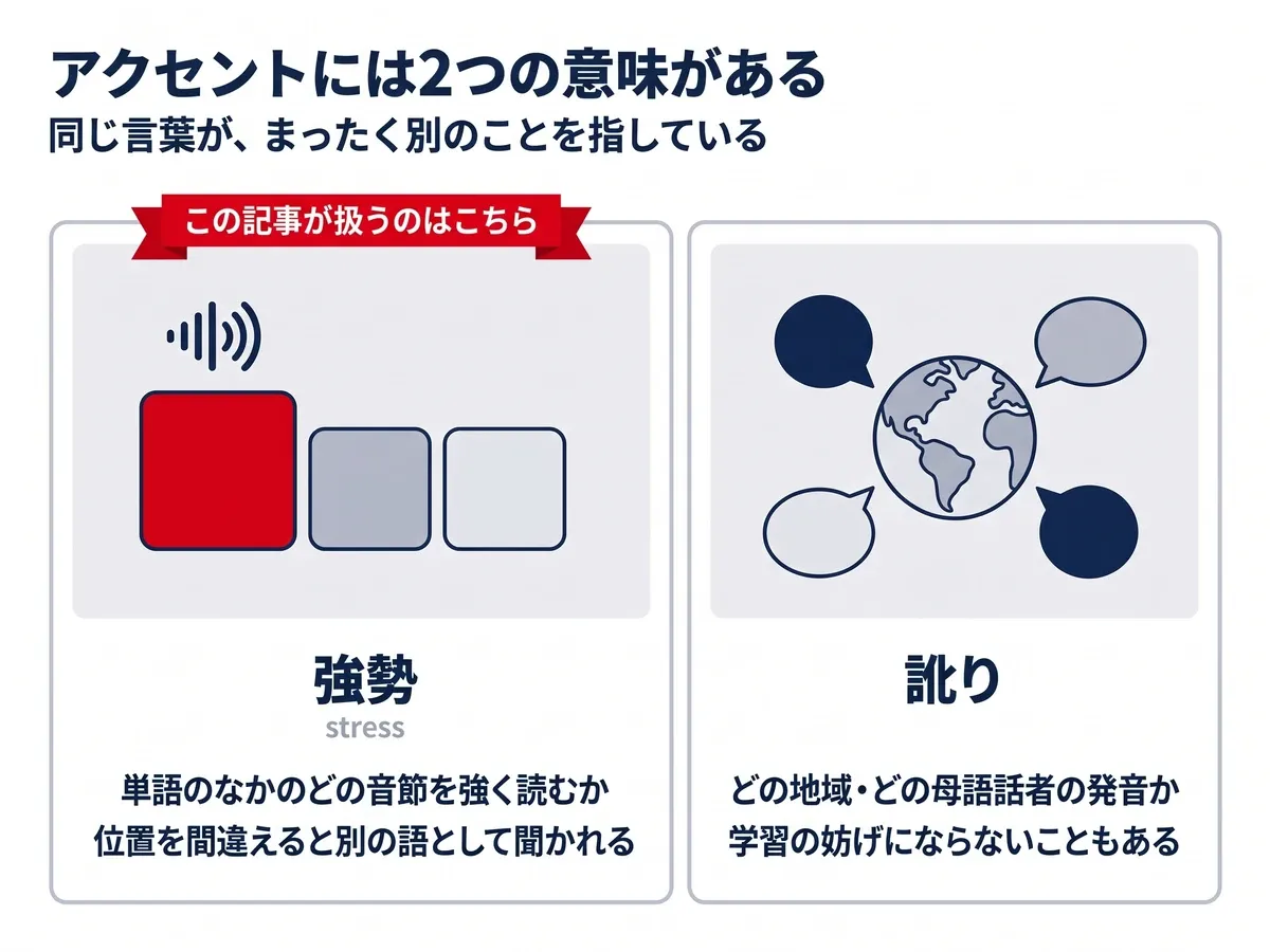 アクセントの2つの意味:強勢(単語のどの音節を強く読むか)と訛り(どの地域・母語話者の発音か)