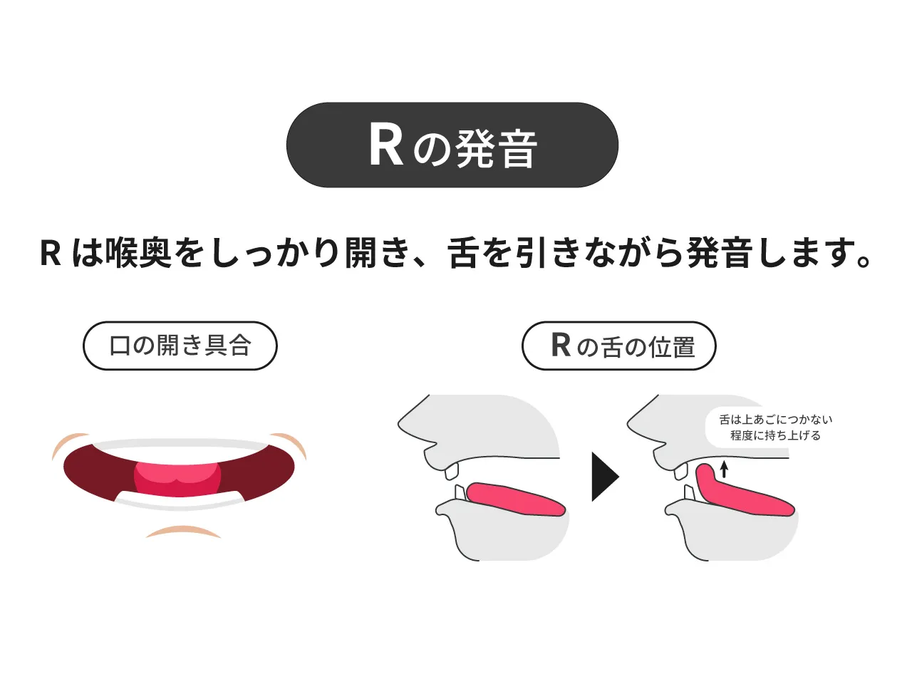「Rの発音」の口の開き方と舌の位置を示した解説図