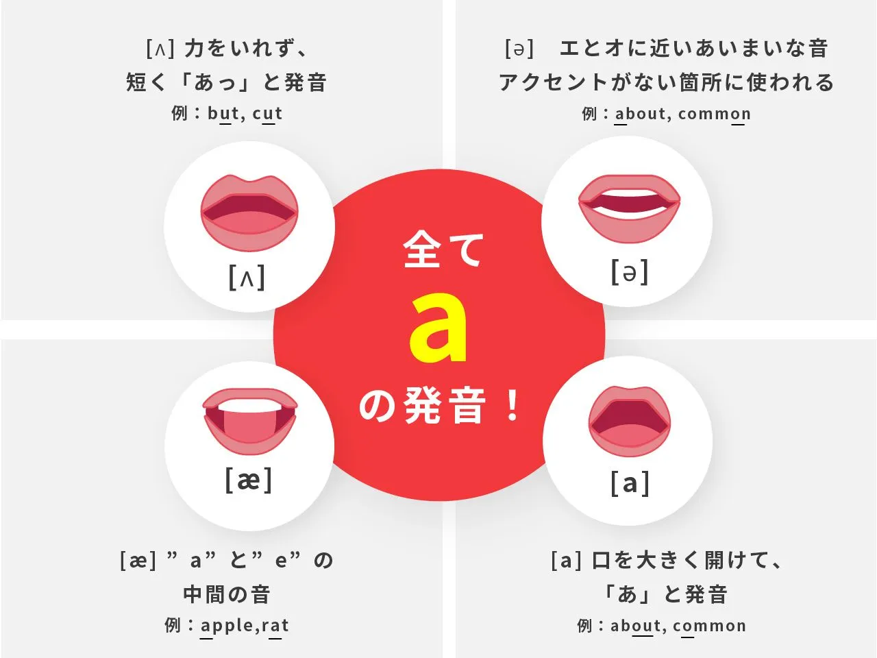 「aの発音」が4種類あることを口の動きで示した解説図