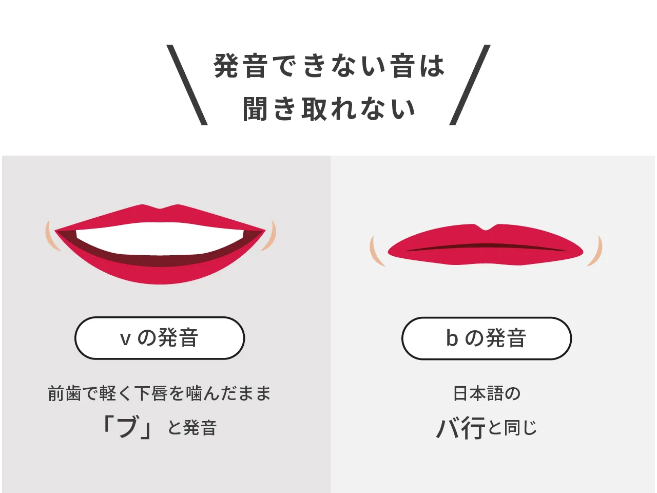 「v」と「b」の発音時の口の形を比較した解説図